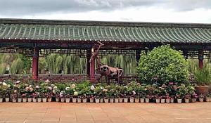 KUNMING - Parc Daguan - 18